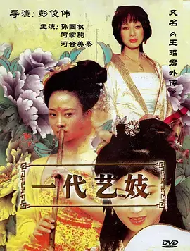 国产年代剧集暗河之上海报